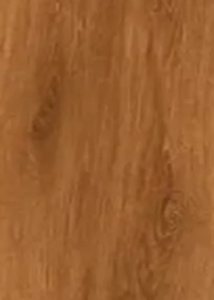 Caramel honey, the warmest in this line waterproof luxury vinyl plank, 5.5 mm with a 20 mil wear layer, on promotion at $3.99 per square foot installed in Summerfield, FL