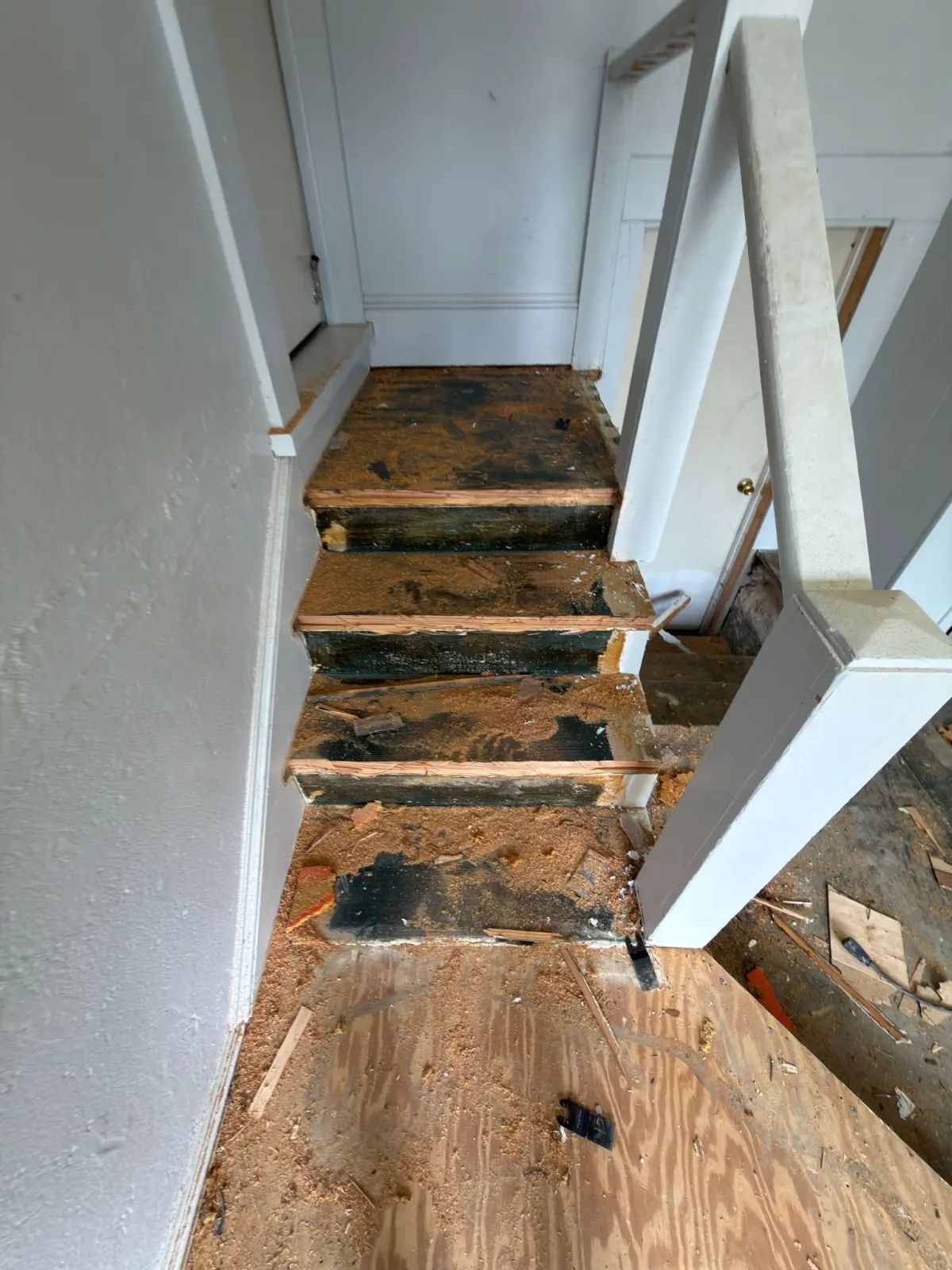 Old flooring torn out and the subfloor exposed in a Summerfield, FL home
